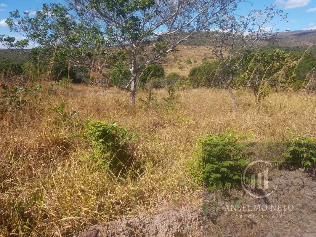 chácara um alqueire e 18 litros no município de Corumbá de Goiás a 5 km do asfal...