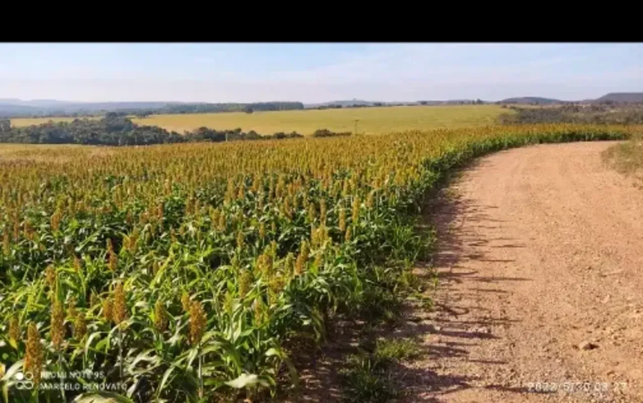 Fazenda a venda em Alexânia -GO 226 alqueires ou 1.093 hectares O inventario est...
