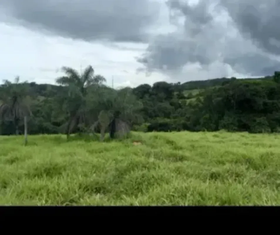 Fazenda 35 alqueires Município de Carmo do rio verde ! Terra ondulada Cultura de...