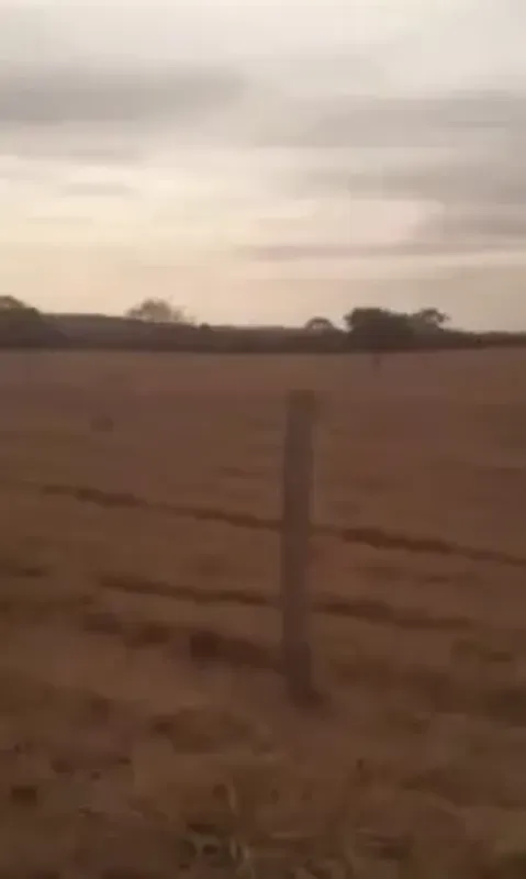 Faz município Itapaci: - 245 alqueires goiano - 30 km de Itapaci - 15 km do asfa...