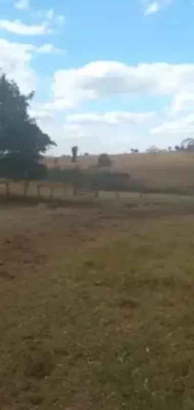 Essa é 7 alqueires 14 km d asfalto município de Itapuranga, tem 2 nascente e 1 r...
