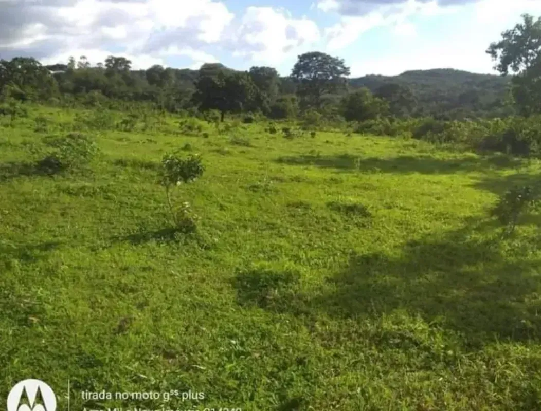 _CHEGOU A OPORTUNIDADE QUE VOCÊ ESPERAVA PARA COMPRAR A SUA FAZENDA !_ _A 130 km...