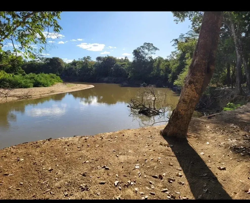 Fazenda no município dê Matricha de 10 Alqueires berra rio com casa de alto padr...