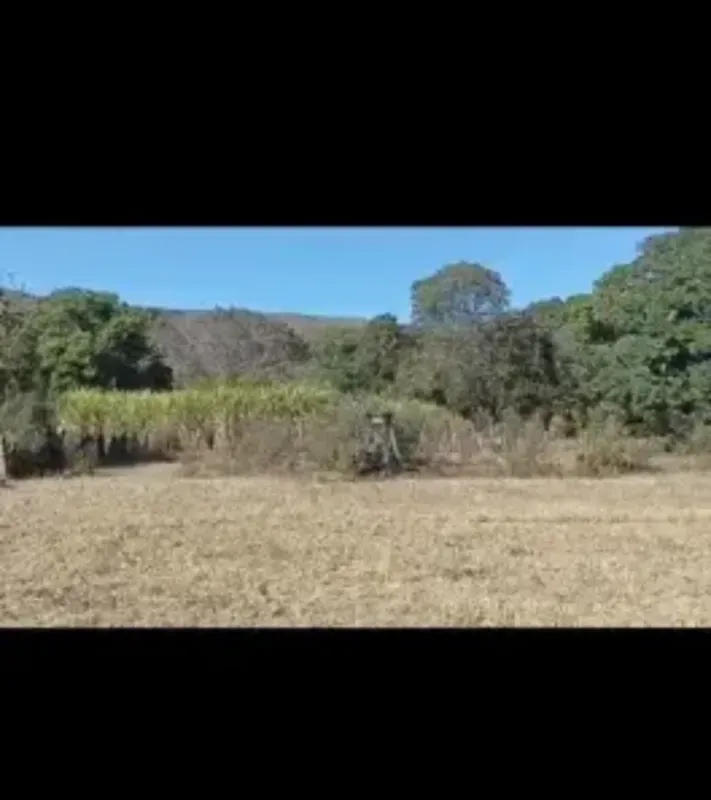 Fazenda de oportunidade. 1.040 hectares Terra vermelha de cerrado. 400 hectares ...