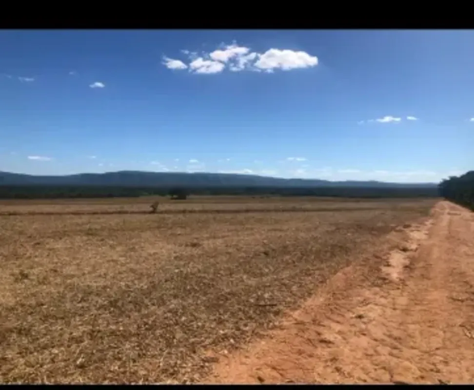 Fazenda 205 hectares á venda! Município de ARINOS-MG. média 210 km de Brasília. ...
