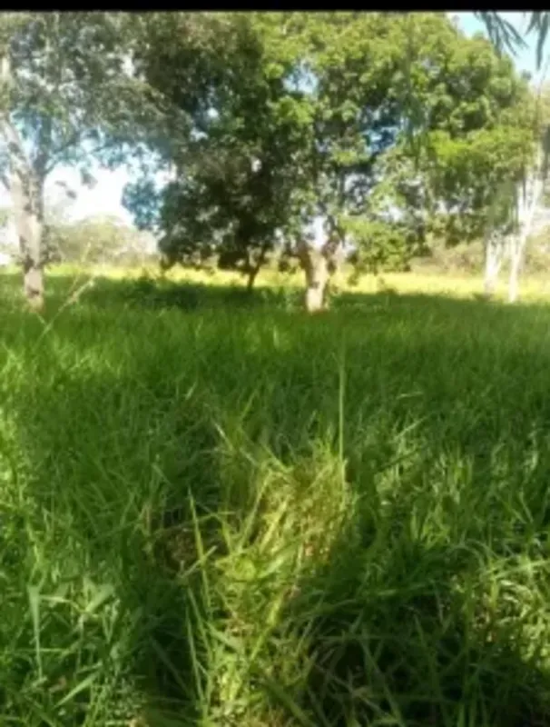 FAZENDA EXTREMA 162,00 HECTARES TODA FORMADA 7 DIVISÕES DE PASTOS 1 BARRAGEM QUE...