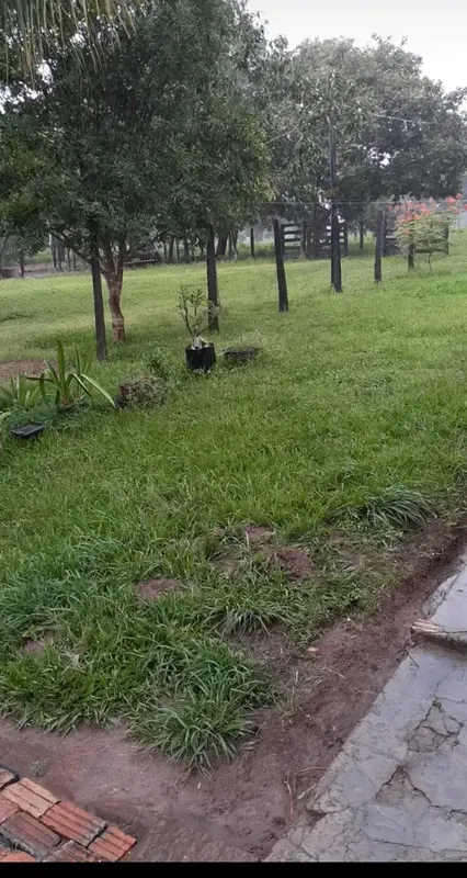 Fazenda de 226 hectares Acesso pelo asfalto Toda cercada Casa sede Energia Tem u...