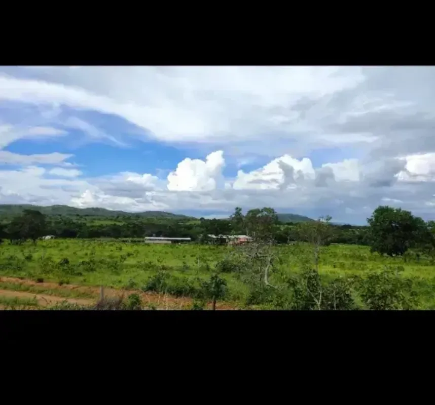 fazenda a Venda 275 há em buritis-MG 15 km de estrada de chão Curral para gado s...