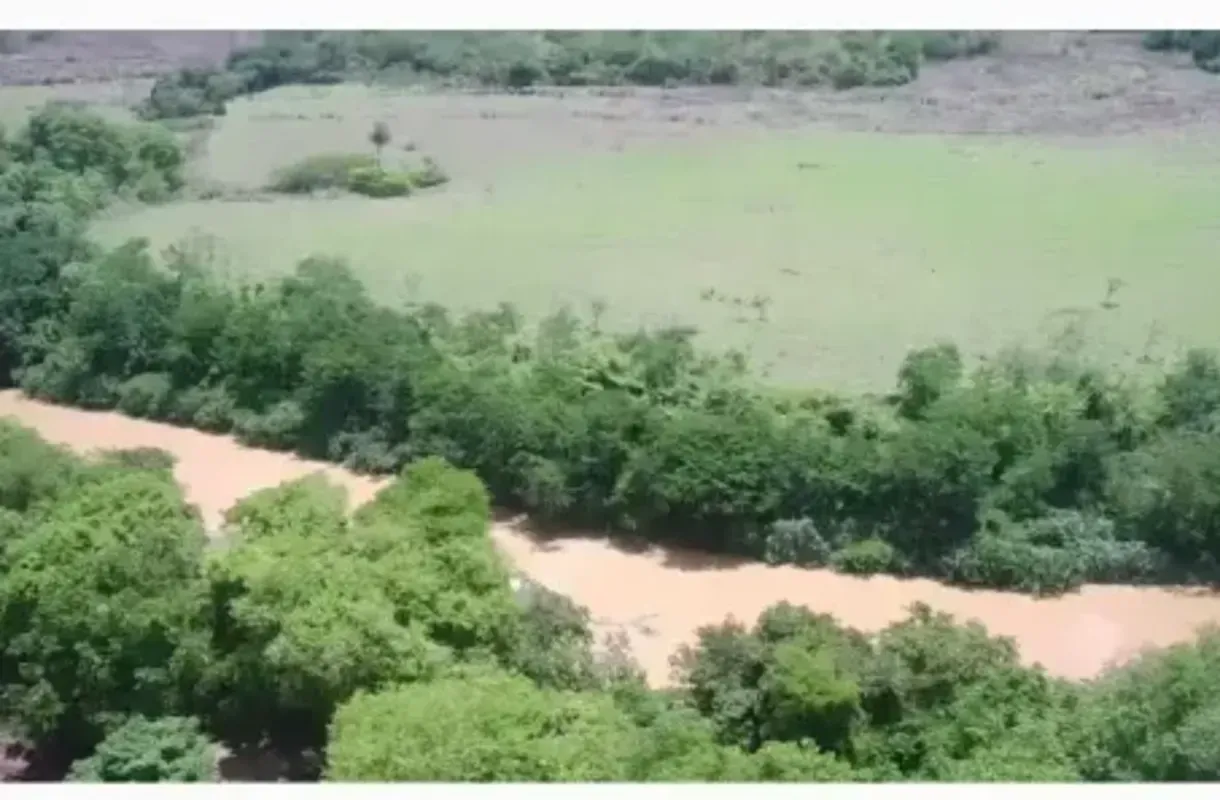 Fazenda em Buritis de Minas 238 hectares -Registro,GEO e CAR Escriturada Só ir p...