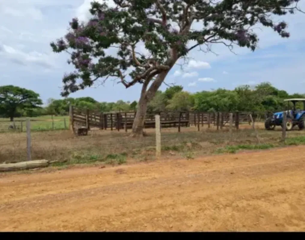 Vende fazenda em Unaí MG ?? 68.8 Hectares ?? RIBEIRÃO Canabrava ??Casa Sede boa ...