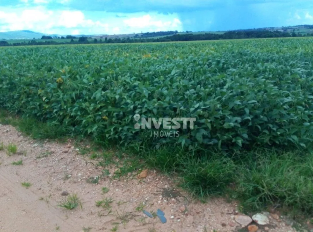 OPORTUNIDADE IMPERDÍVEL EM ITAPURANGA GO Fazenda produtiva à venda, localizada n...