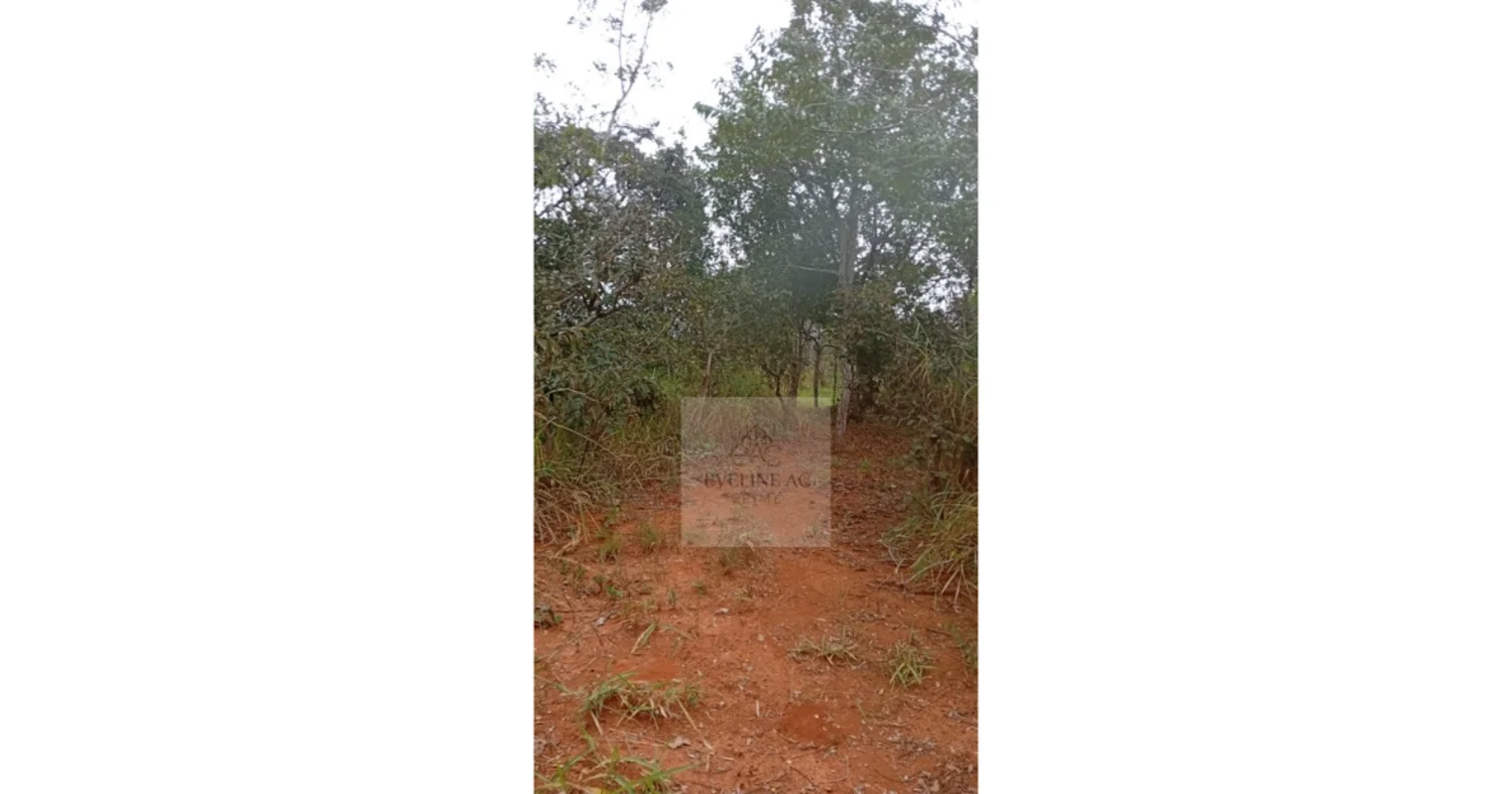 Chácara de 2 hectares (20.000 m²) disponível pra venda no Altiplano Leste, com a...