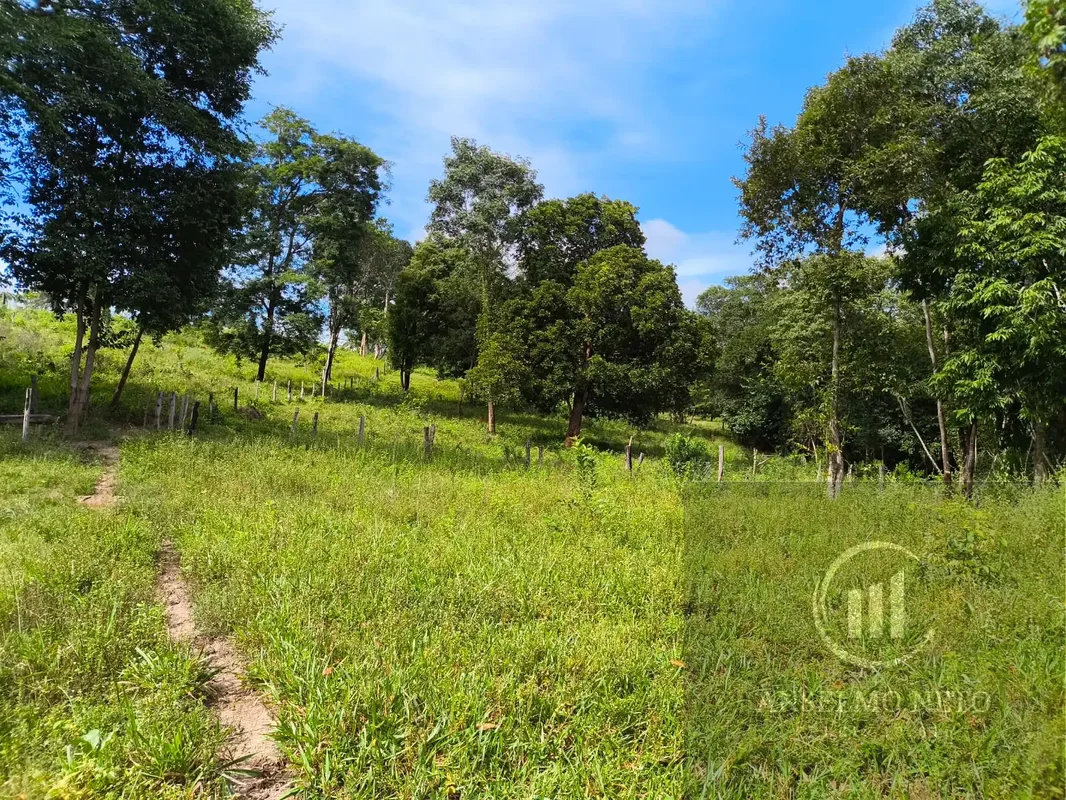 * chácara 5 alqueires e 18 litros* A 19 km chão sendo 6 km buenolandia * Municíp...