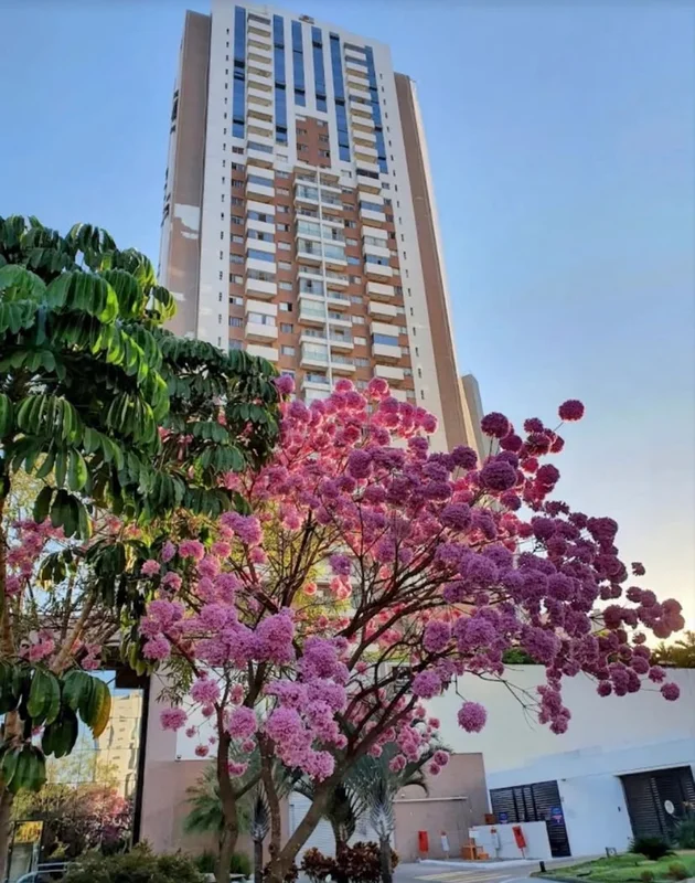 TOWER CLUB RESIDENCE QUADRA 206 ANDAR ALTO VISTA LIVRE FINANCIAMENTOMY HOUSE VEN...