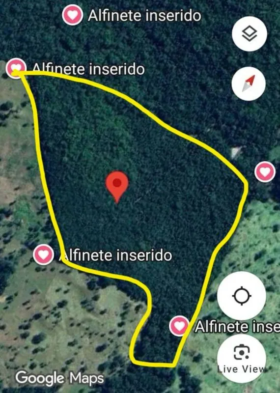 ?? Fazenda Morro Alto: Seu Refúgio de Mata Virgem Próximo à Capital?? Localizaçã...