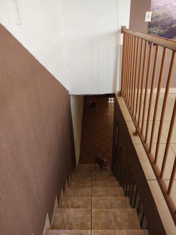 ??Casa 3Q com 2 Barracões de aluguéis. Casa com 3Q, 3 salas , cozinha, dispensa,...