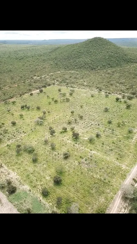 FAZENDA À VENDA 37,5 HECTARES MAMBAÍ/GOLocalização: Mambaí, Norte Goiano, a 310 ...