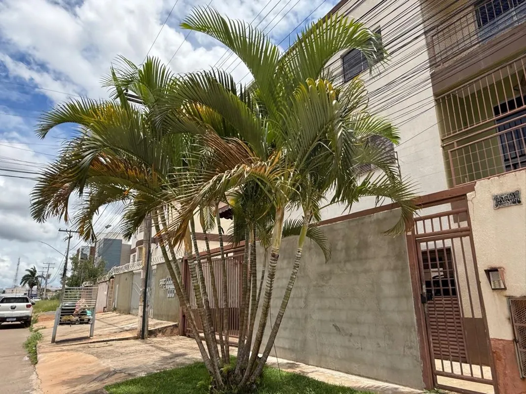 Apartamento à venda em Valparaíso de Goiás-GO, 2 quartos, 1 sala, 1 banheiro, 1 ...