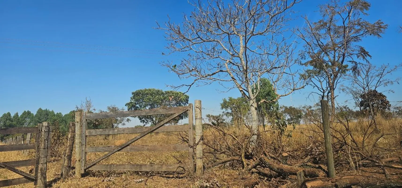 ÁREA RURAL À VENDA | BELA VISTA DE GOIÁS – GOFazenda BuritisÁrea total: 7,5375 h...