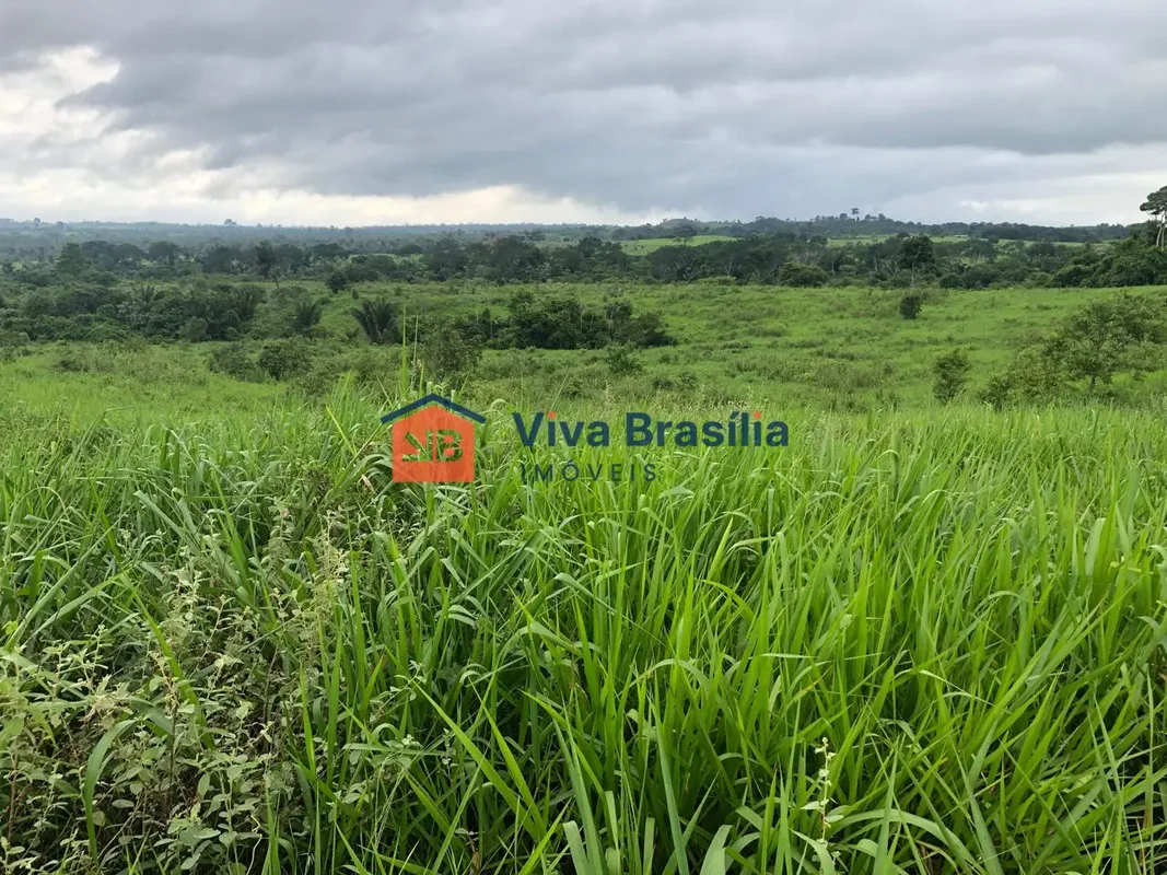 SÃO DOMINGOS DO ARAGUAIA – PAFazenda de alto padrão, totalmente estruturada e pr...