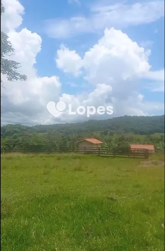 ?? Fazenda de Alto Padrão à Venda no Triângulo Mineiro | Terra de Cultura, Rica ...