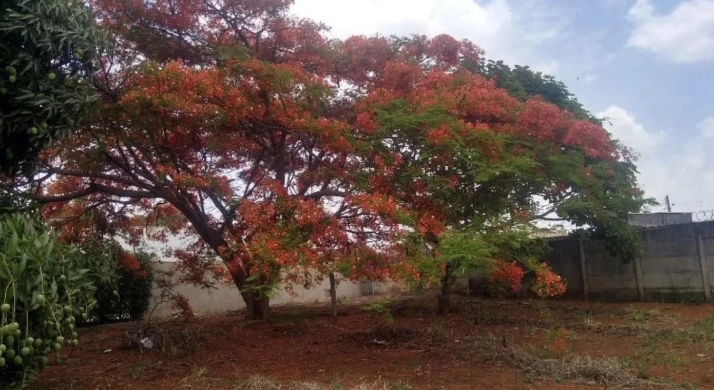 A GCASTRO IMÓVEIS VENDE !!!Um dos últimos lotes do condomínio Plano Com muroCond...
