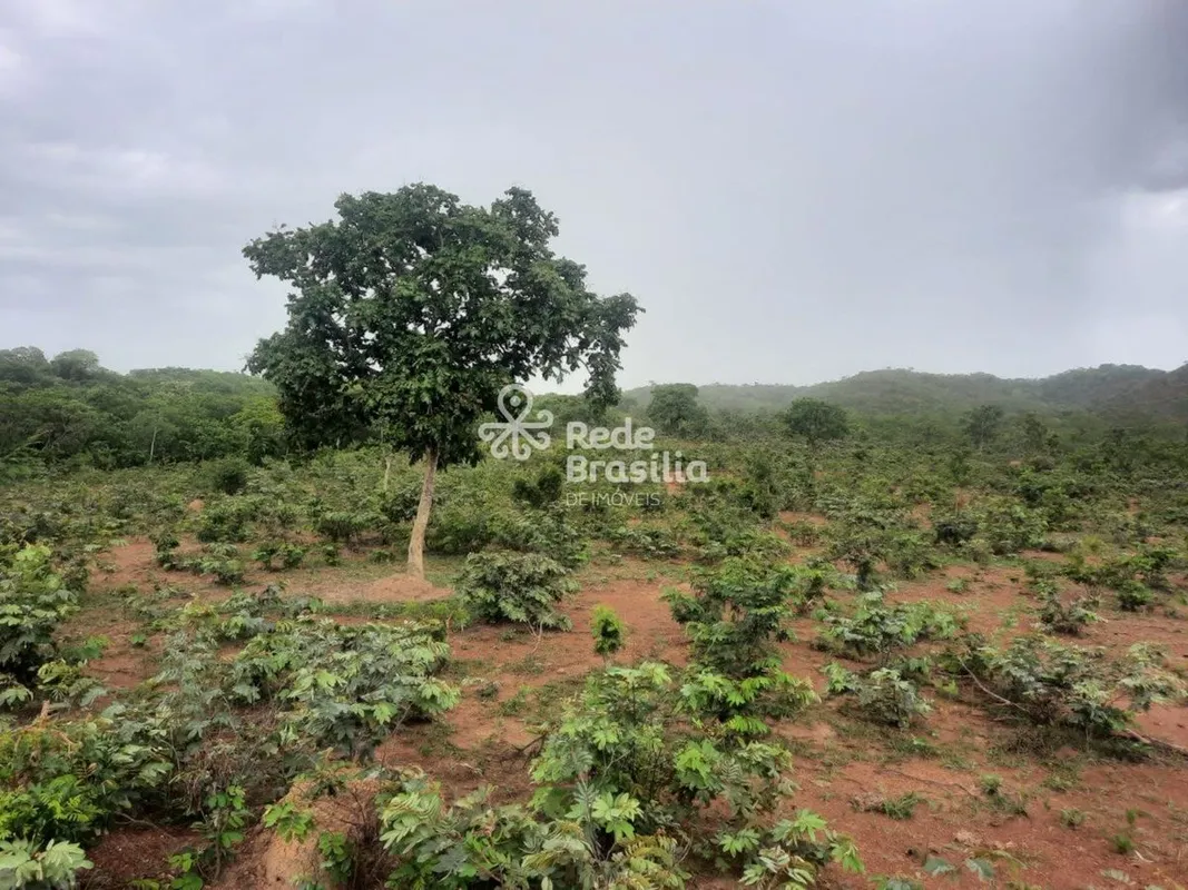 FAZENDA À VENDA EM UNAÍ-MG | IDEAL PARA PECUÁRIA, COMPENSAÇÃO AMBIENTAL E PLANTA...