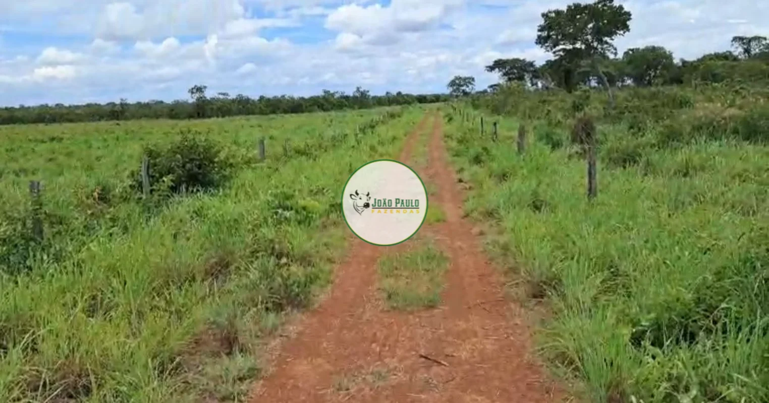 CORRETOR RESPONSÁVEL: JOÃO PAULO LIMA CRECI-DF 29436FAZENDA À VENDA – FLORES DE ...