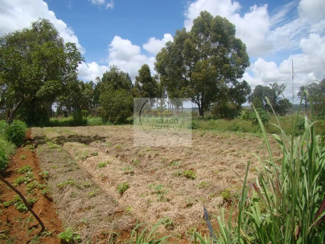 ÓTIMA CHÁCARA NO LAGO OESTEToda plana, em terreno de 25.000 m2, próximo à pista ...