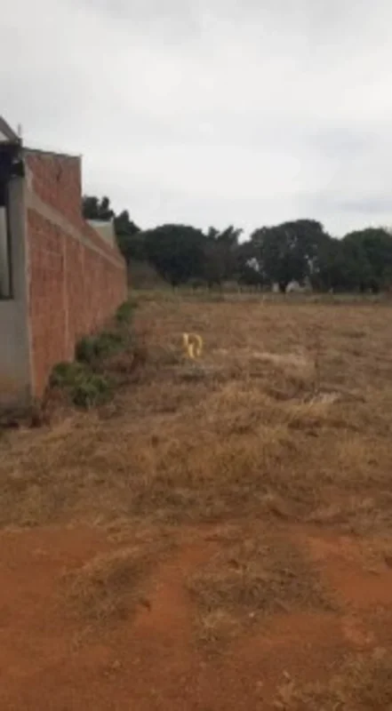 Oportunidade diferenciada na Rua das Palmeiras, no Residencial Ilha Branca, Pont...