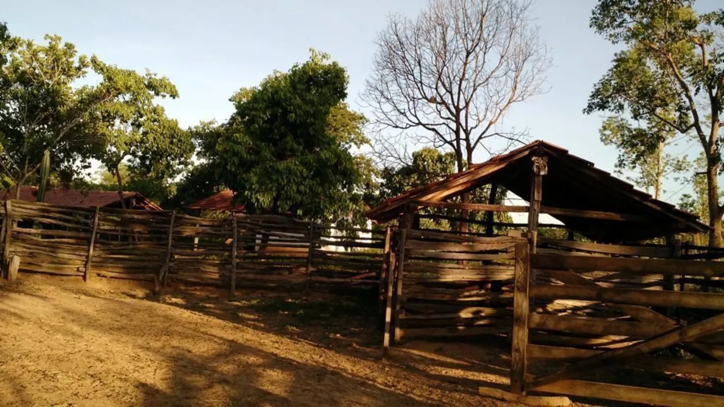 Fazenda à Venda - Urucuia/MGValor: R$ 4.900.000,00(quatro milhões e novecentos m...