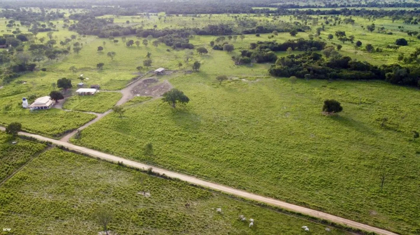Fazenda de Cultura em Divinópolis - GO (40 Alqueires / 193,6 Hectares) A união p...