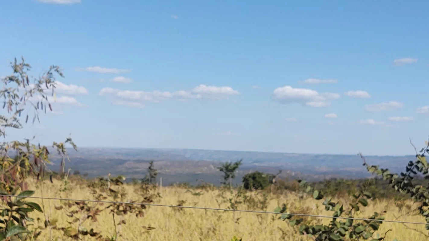 *****Fazenda com 1.040 hectares *******Terra vermelha com mais de 40 % de argila...