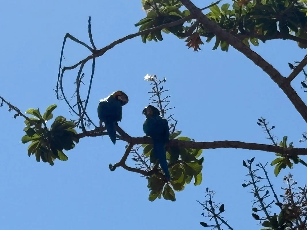 Casa térrea à venda no Condomínio Privê Morada Sul – Etapa A, localizada em pont...