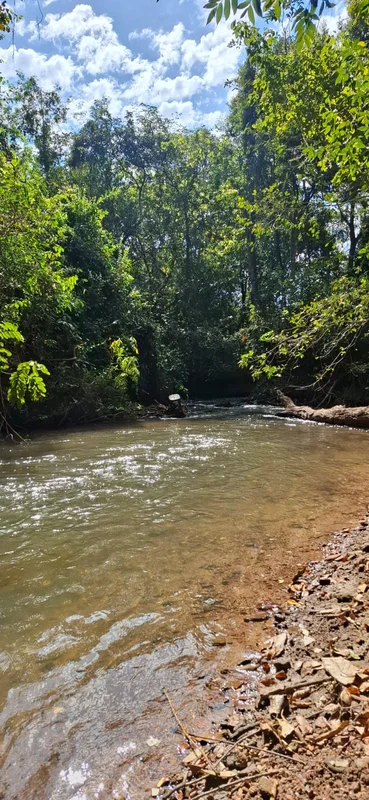 VENDO SÍTIO/CHÁCARA 4.000m² - NÚCLEO RURAL FAZENDA VELHA PAD-DF, COM RIO SÃO BAR...