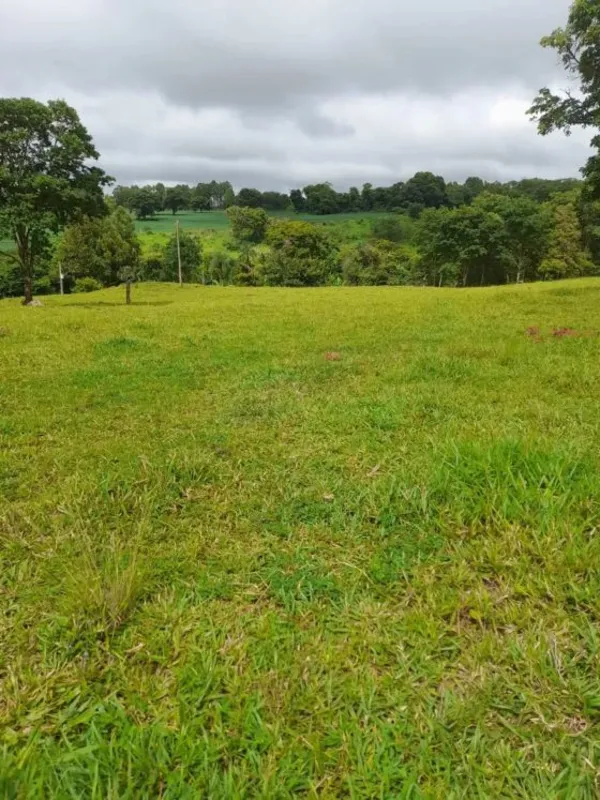 ?? CHÁCARA À VENDA | PRÓXIMA A GOIÂNIA – BELA VISTA DE GOIÁS ??Ótima oportunidad...
