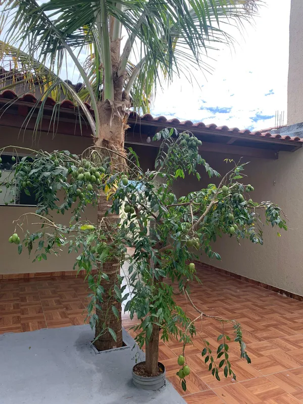 Casa tendo uma área total de 180,00m², sendo: 66,31m² de área de uso privativo c...