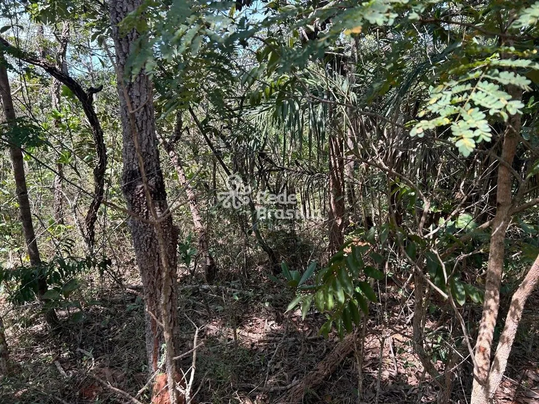 Setor de Mansões Fazendárias | Terreno Nascente, Escriturado | Jardim BotânicoUm...