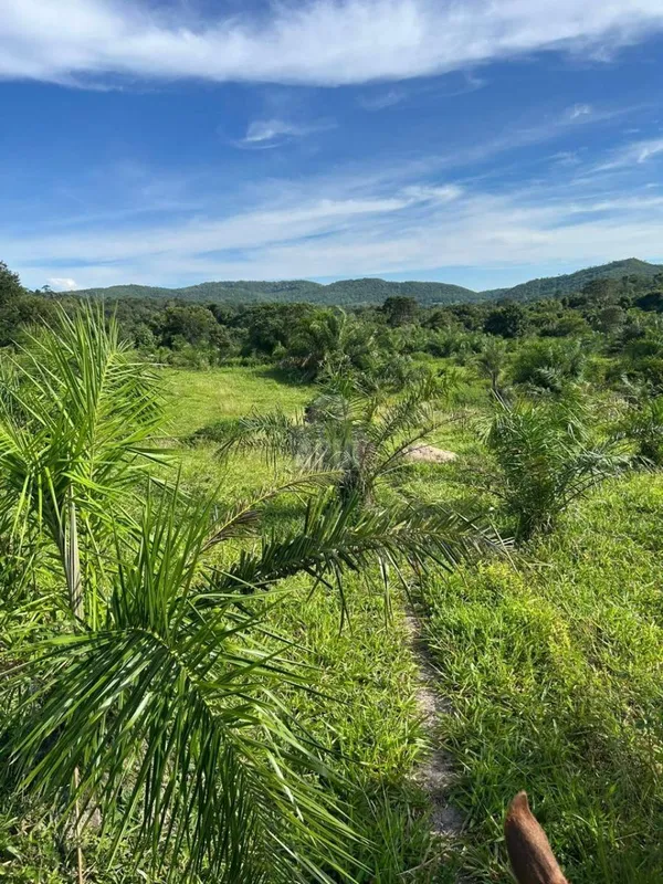Área total: 106 hectaresEstrutura: Sede completa e curralPara mais informações, ...
