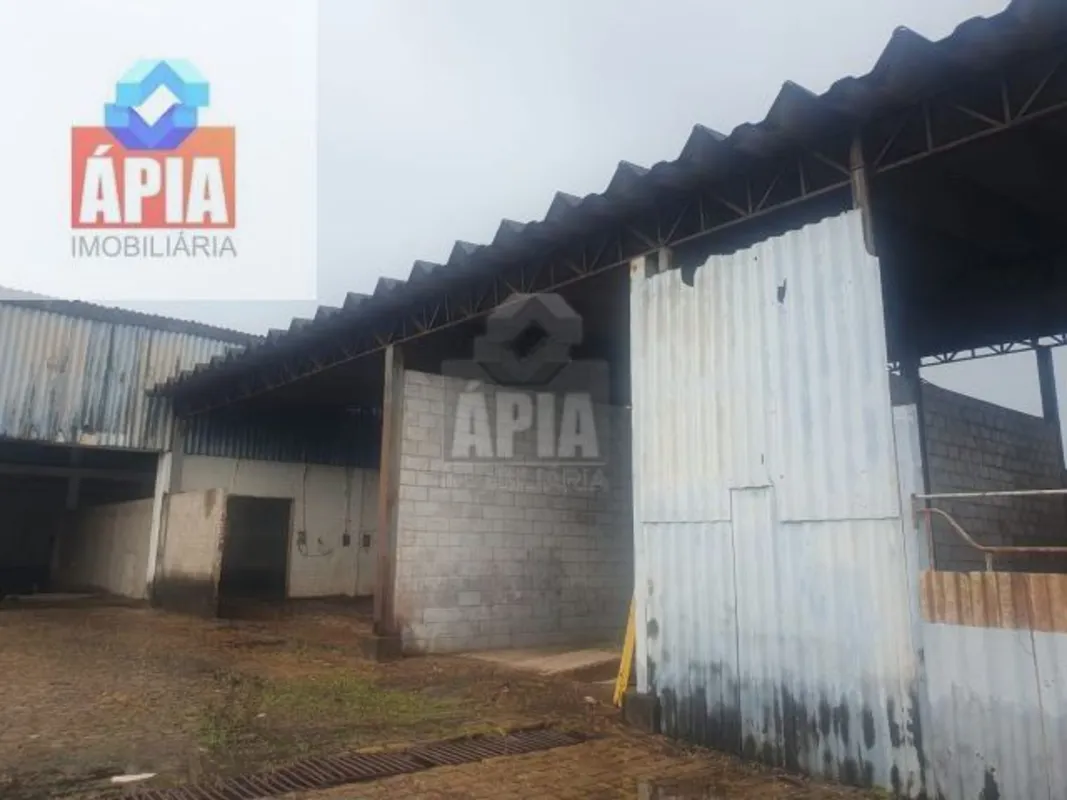 Galpão/Depósito/Armazém à Venda - Bairro Santa Genoveva, Goiânia/GOOportunidade ...