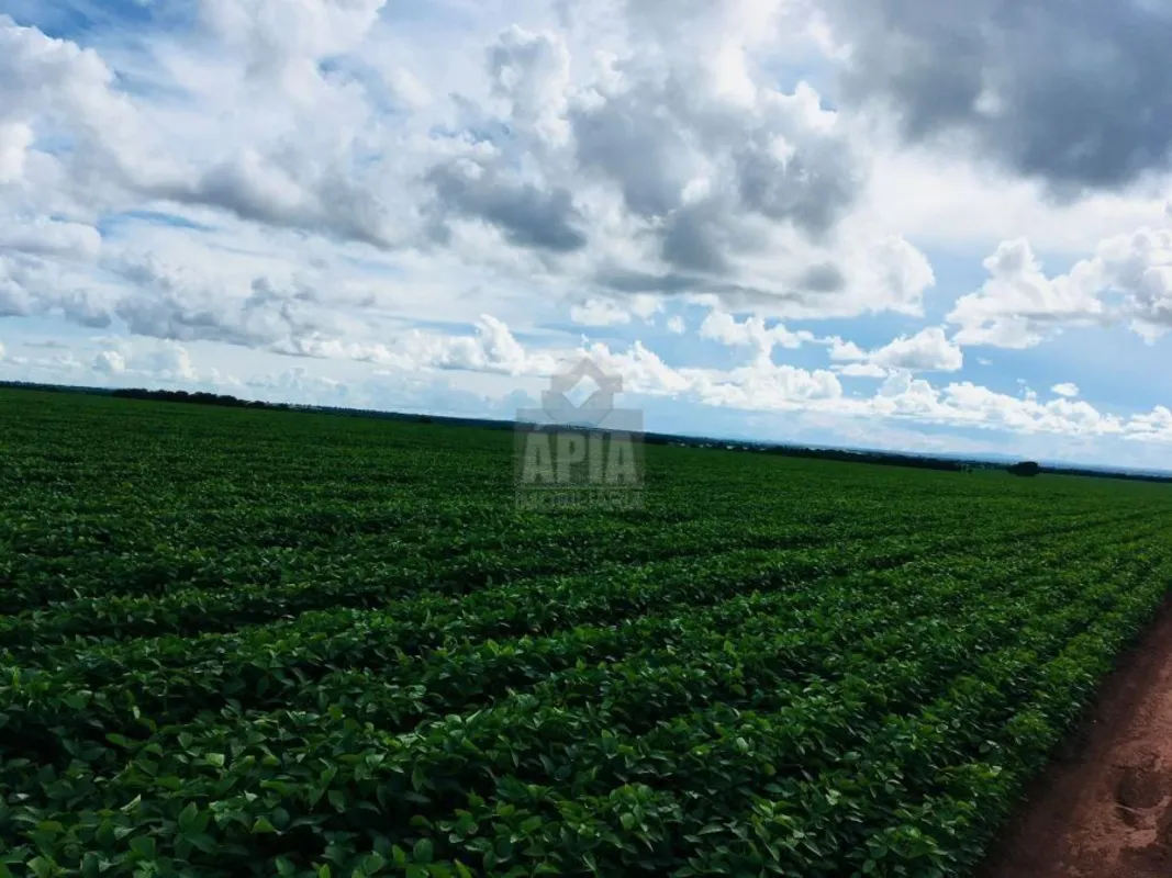 Fazenda à Venda - Excelente Estrutura para Pecuária e AgriculturaÁrea total de 1...