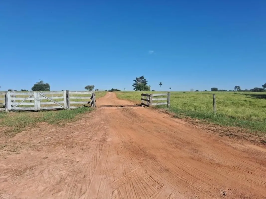 Fazenda em Mozarlândia. 260 alqueires. Logística: distância de 10 km da cidade d...