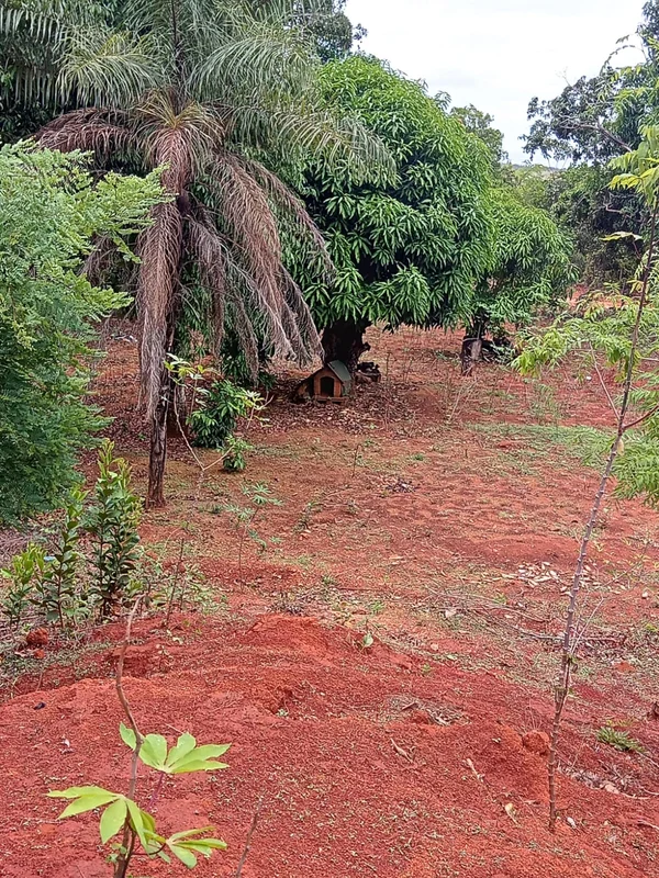 Lote Urbano no Mansões de Recreio Estrela Dalva VI | Luziânia-GO. Excelente Opor...