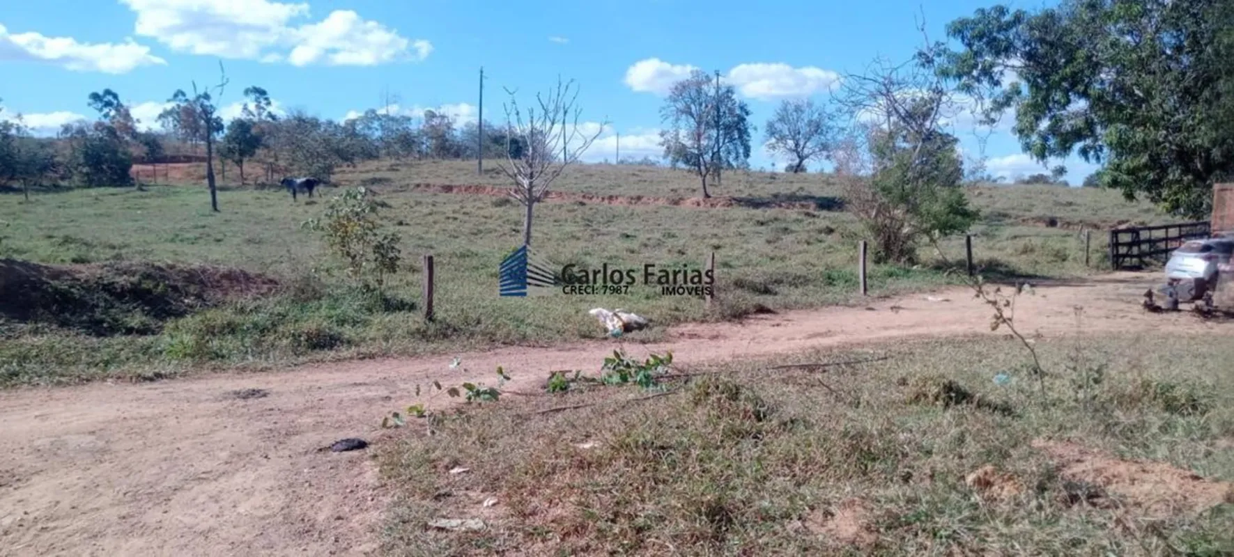FAZENDA CUNHA MUNICIPIO DE CIDADE OCIDENTAL-GO Á 12 KM DE ESTRADA DE CHÃO ATRÁS ...