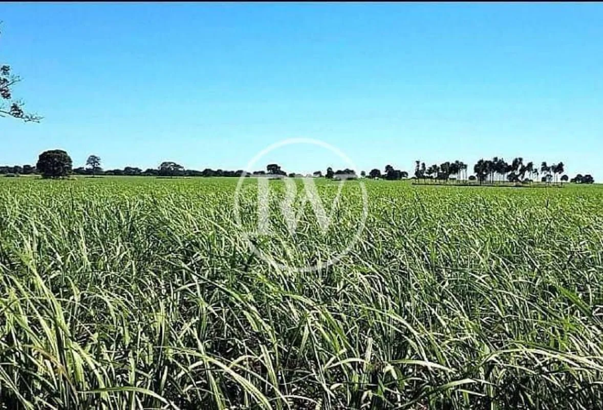  Fazenda à Venda – 139 Alqueires para Soja | Próximo a Quirinópolis – GOExcelent...