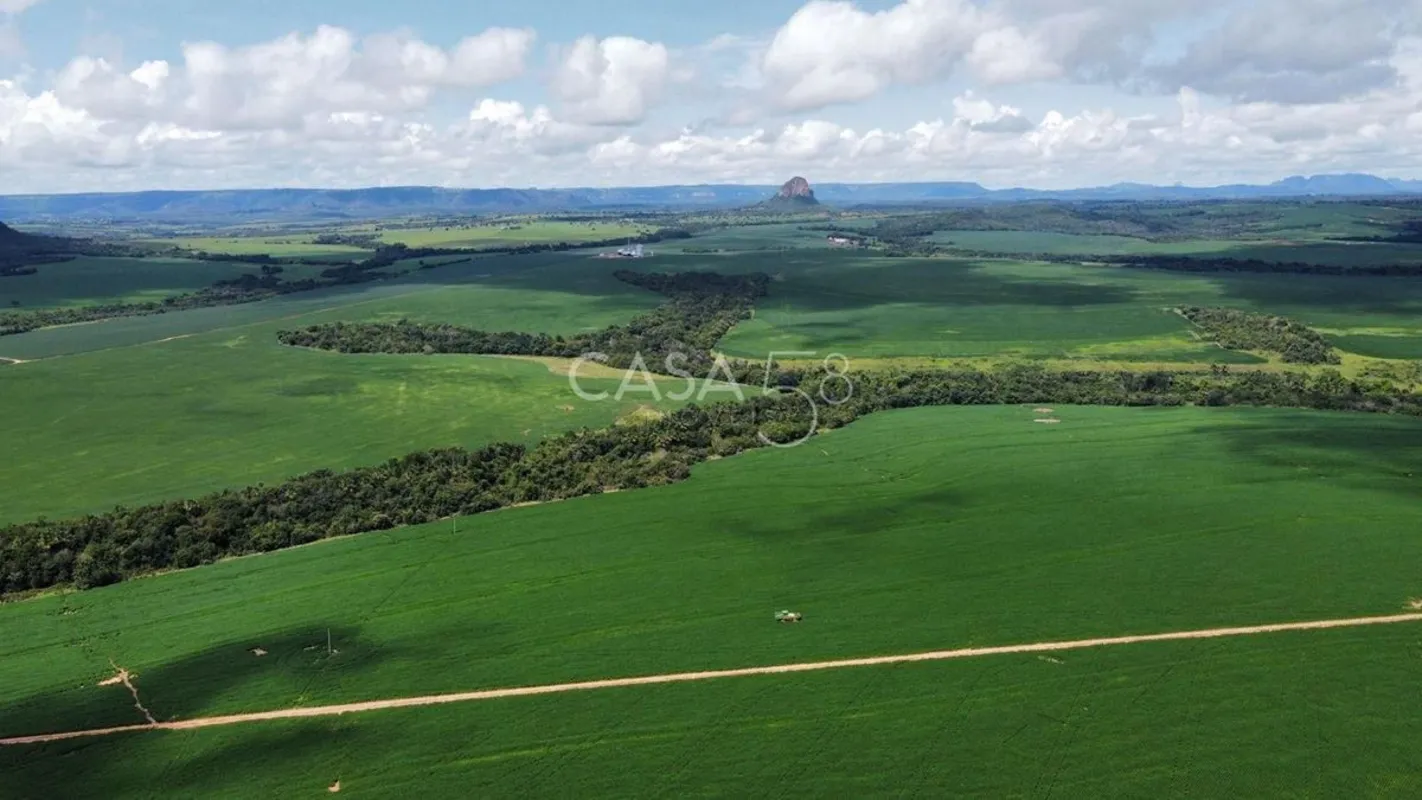 Fazenda de Alta Produtividade à Venda em Caiapônia – GoiásÁrea total: 11.963 hec...