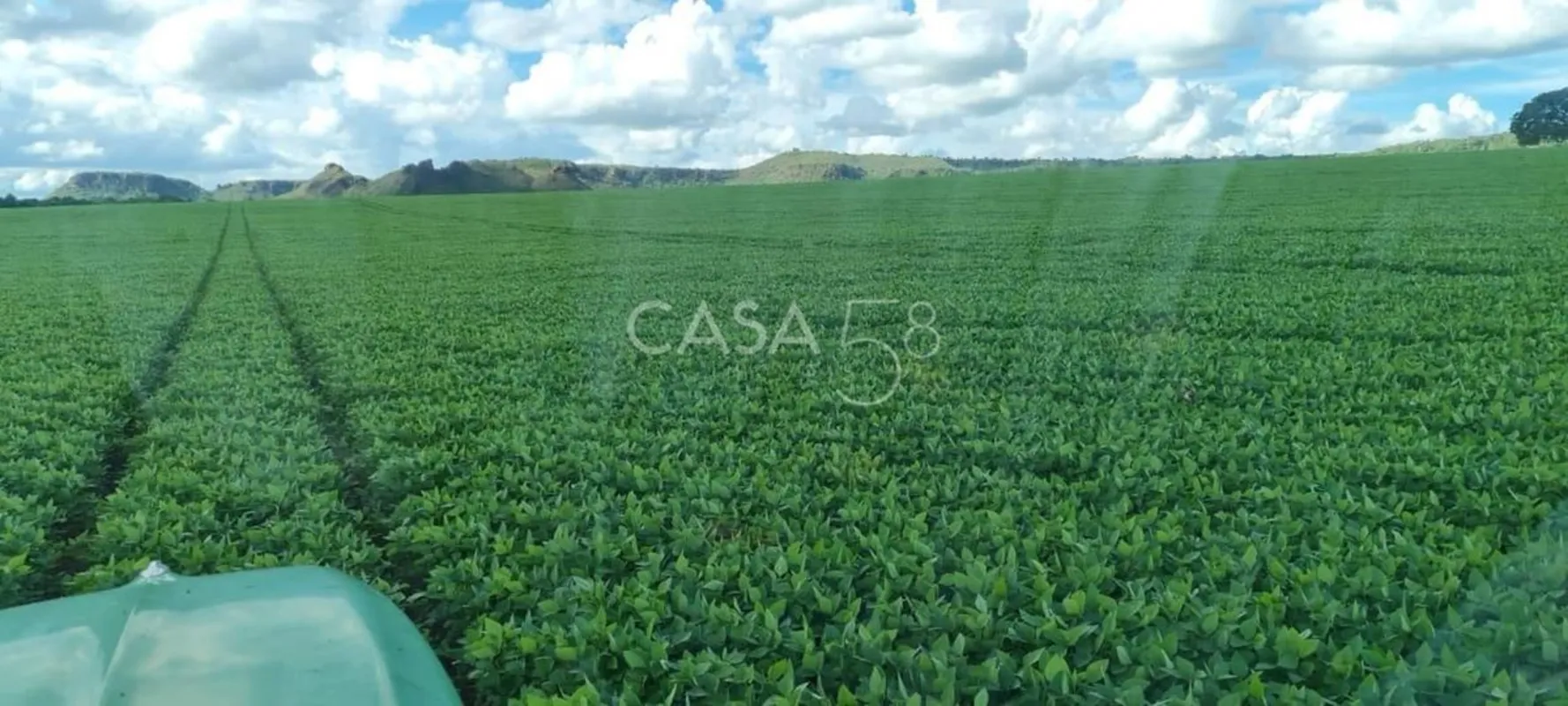  Fazenda à Venda em Mineiros – GO | 126 Alqueires | 335 ha em Lavoura | Solo de ...