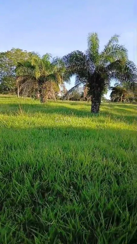 Sítio à venda em Goiás Velho – 42 hectares, pasto formado e água abundante Excel...