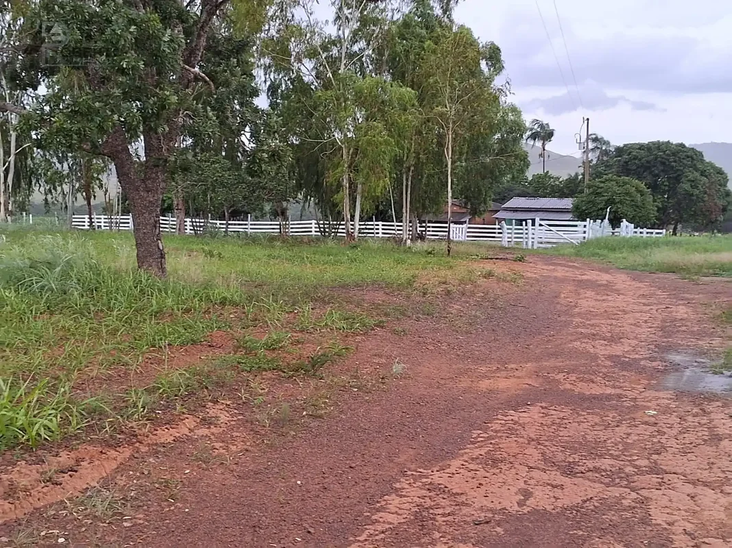 ?? FAZENDA À VENDA COM EXCLUSIVIDADE– 117 HECTARES | ALTO POTENCIAL PRODUTIVO EM...