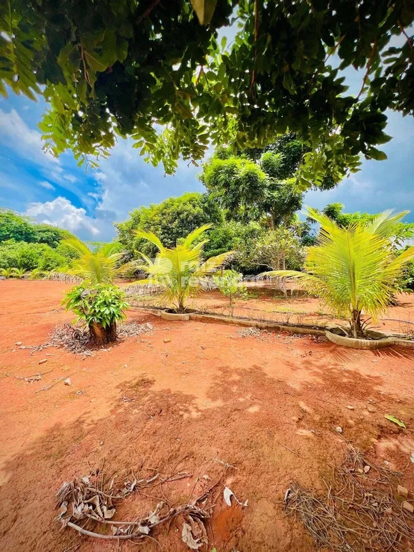 Lote à venda no Condomínio Alto da Boa Vista, em Senador Canedo, com 5.006 m² e ...